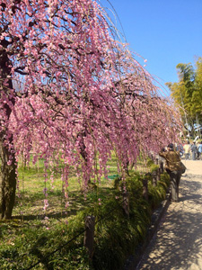 名古屋旅行・名古屋農業センター