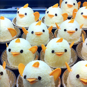 名古屋旅行・ぴよりん